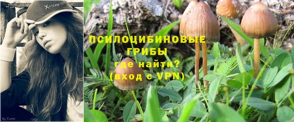 сатива Артём