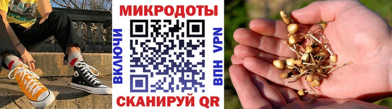 shop клад  продажа наркотиков  Каменск-Шахтинский  Псилоцибиновые грибы MAGIC MUSHROOMS 